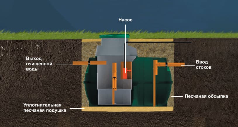 osobennost_rostok_34.jpg osobennost_rostok_34.jpg
